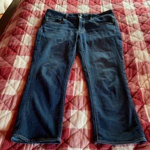 AE Artist Cropped Jeans Super Stretch